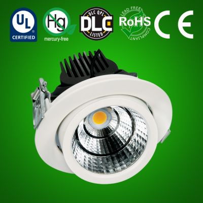 LED Pullout Downlight