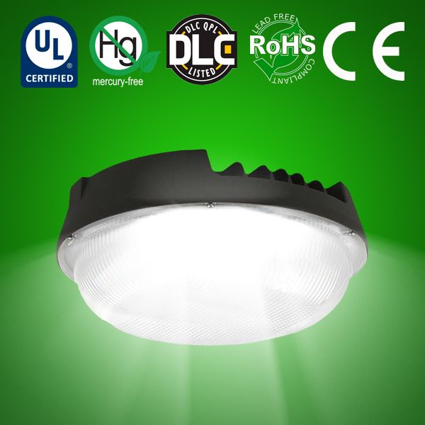 LED Round Canopy Light